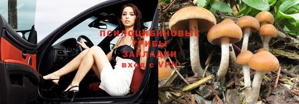 mdpv Абаза